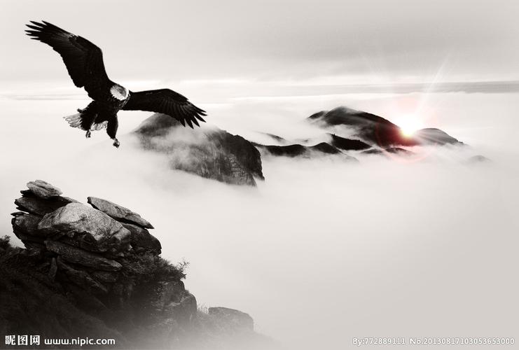 日出壮志凌云图片