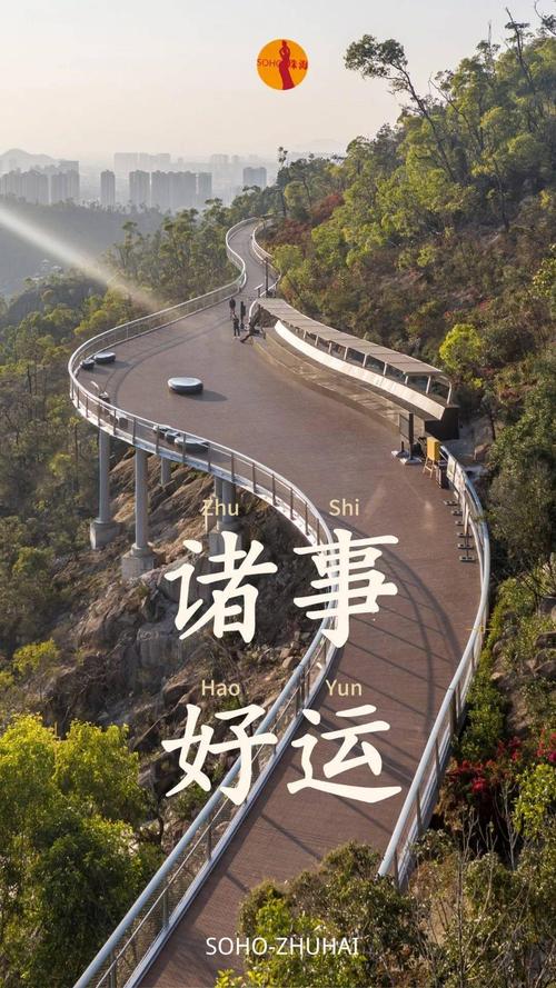 再见,板樟山
