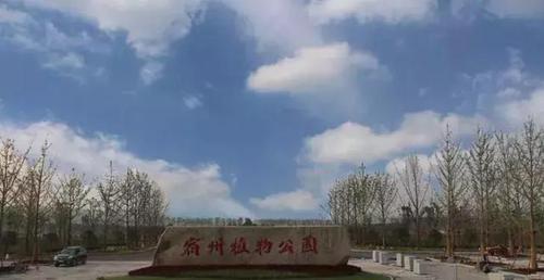 宿州增建一处省级湿地公园,周末游玩又添一景区!