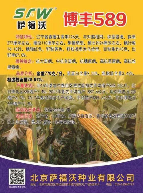 品种展示 博丰589