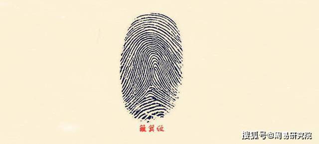 如果一个人的10个指纹全部是簸箕纹的话,这种纹也称为"坤纹".