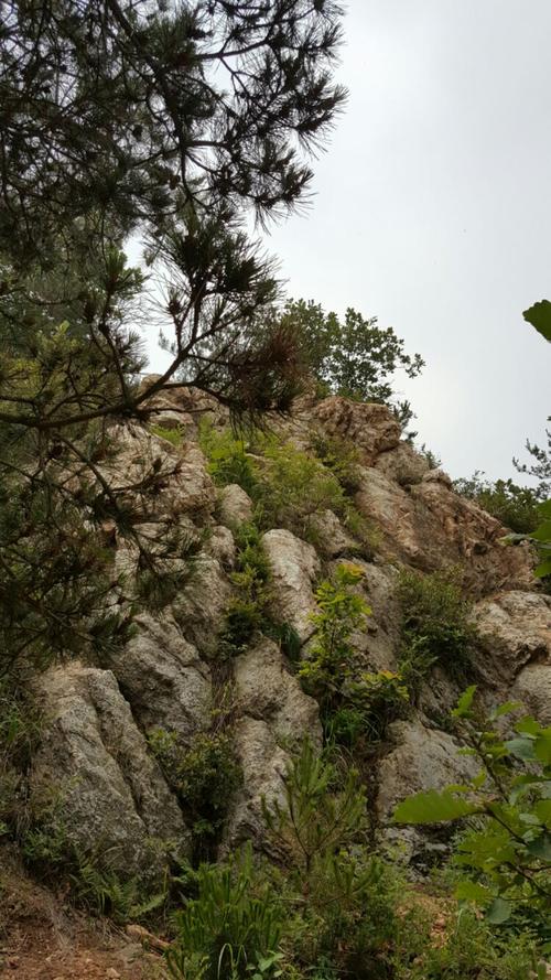 庄河梅花青龙山