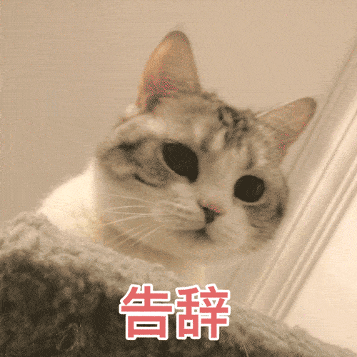 今晚dj猫打碟大量蹦迪表情包预警