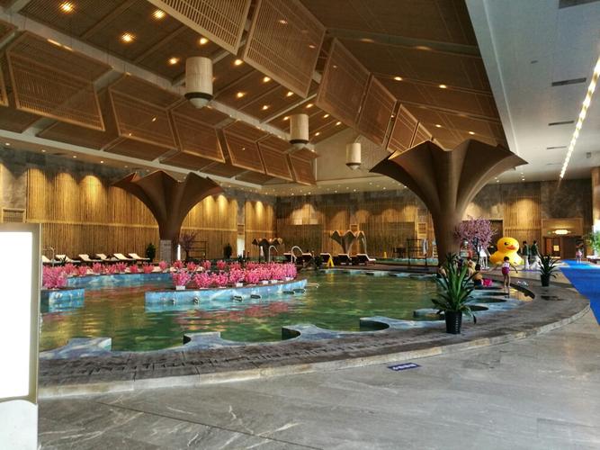 天津东丽湖恒大世博温泉   温泉 自助餐 儿童票