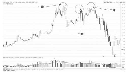 首页 文章教程 股票财经 股票入门  从后市的行情可见,不到半个月的