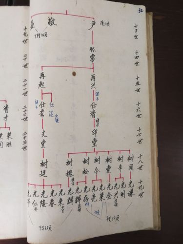 贾姓文化| 河北沧州市黄递铺乡贾洼东村《贾氏世谱》二门支谱