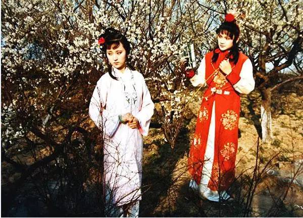 其它 正文  唯独音乐,翻遍《红楼梦》各个版本,从头到尾没有一个音符.