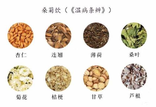 古方五大抗感冒中药排行榜,第一名你肯定想不到!