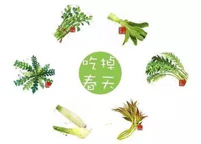 今日春分,有这些习俗竟然都不知道?还有什么吃春菜?