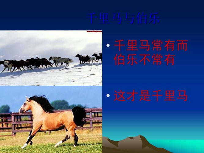 我是千里马也是伯乐ppt