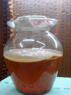 [转载]【2011-5-8】红茶菌 ( 胃宝 海宝 ) 先容 滋补珍品 -转