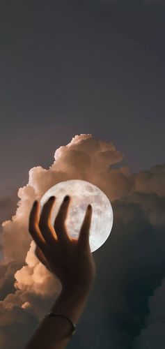 手握日月摘星辰