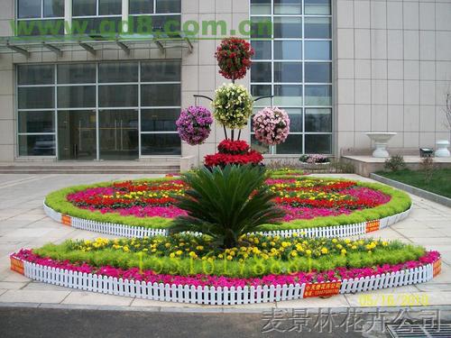 河南郑州麦景林花卉租摆租赁园林园艺养护