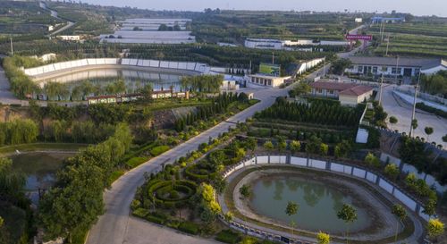 渭南党建-澄城县:高举旗帜鼓干劲 党建引领阔步行
