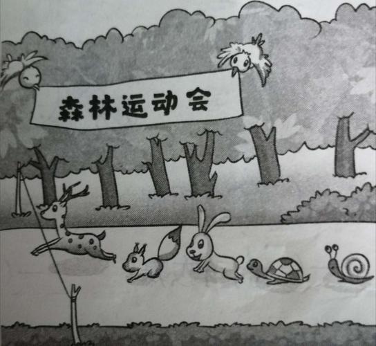 森林运动会 二班,赵凌霄