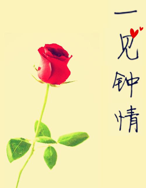 一见钟情娱乐圈