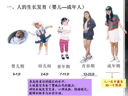 第二节人的生长发育和青春期2ppt