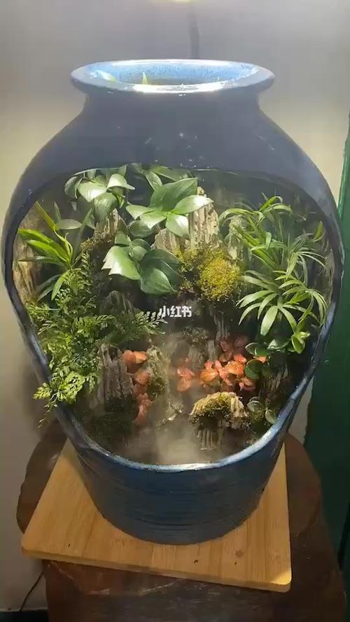 网红陶罐微景观_微景观_家居家装_家居装饰