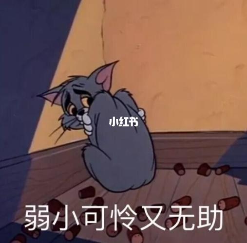 猫93和老鼠9999_表情包_我最喜欢的表情包_素材
