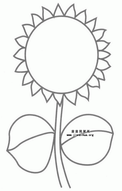 向日葵简笔画怎么画图解