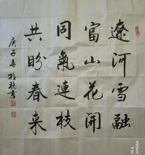 陕西省体育文化艺术协会全方位助力抗"疫"