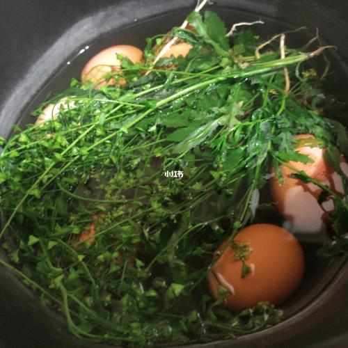 三月三荠菜煮鸡蛋_荠菜_煮鸡蛋_春天去哪玩_你好春天