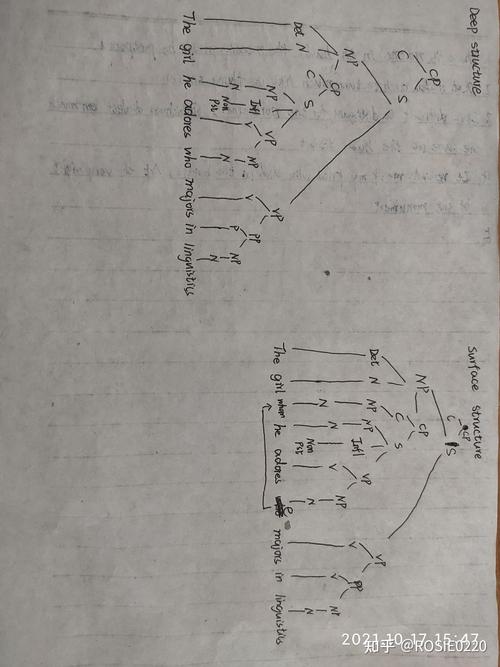 英语语言学句法学,搞不明白,这个题怎么做,我画的对不对啊?