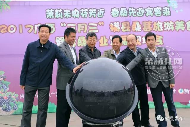 广西"三月三"横县桑葚旅游美食节活动暨果桑产业发展.