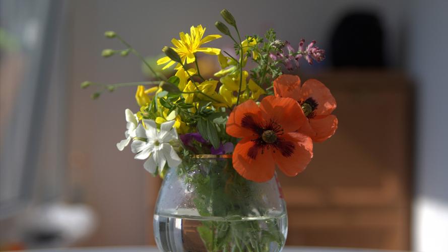 花瓶鲜花插花图片大全-静物壁纸-高清静物图片-第10图