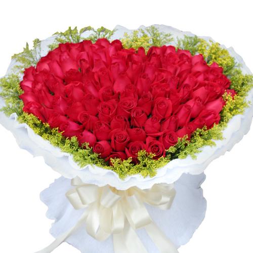 「玫瑰」『一百朵红玫瑰』[花语]—白头偕老,百年好合 一百朵玫瑰花语