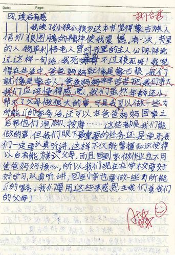 《小狼小狼》读书笔记精选
