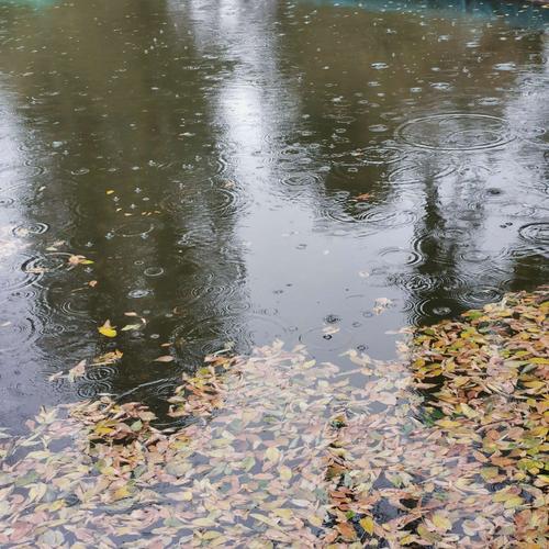 其它 秋雨之韵 写美篇细雨蒙蒙己暮秋, 故乡旧梦又重游.