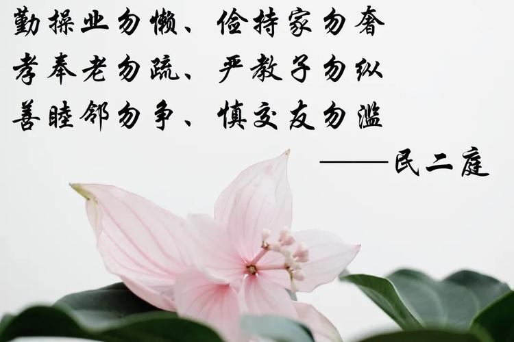 立家规,传家训,树家风