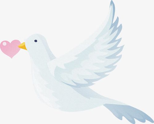 鸽子图案 