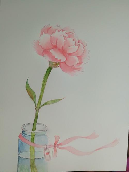 康乃馨,之前母亲节画的