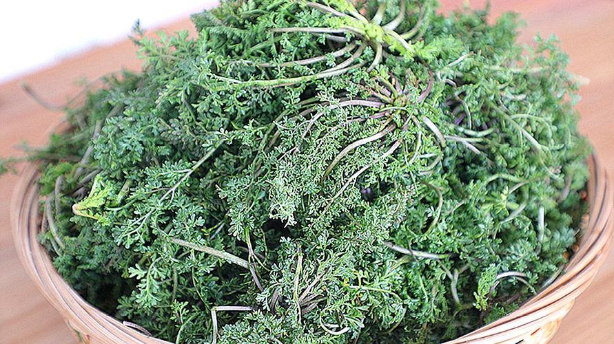 麦蒿怎么做好吃