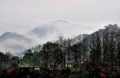 历口镇一景