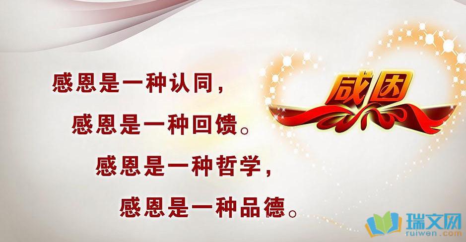感恩社会的作文
