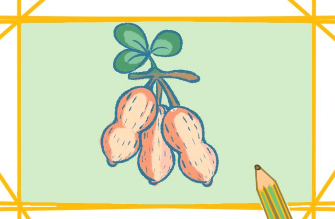 简单容易的花生上色的简笔画怎么画