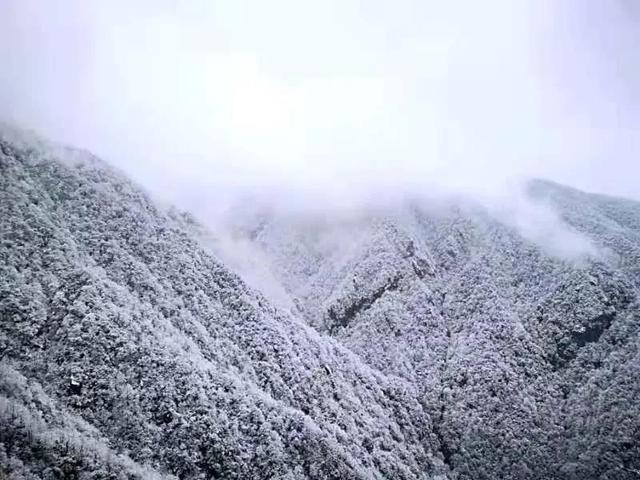 这些雪景图实在太美了!你那边下雪没?