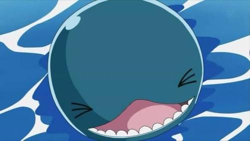 《航海王》中,那些奇怪的动物们!一