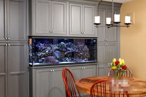 点燃家居盎然情趣11面鱼缸墙设计