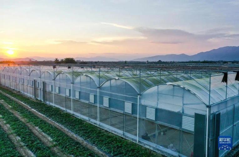 9月22日拍摄的海南省陵水现代农业示范基地(无人机照片).