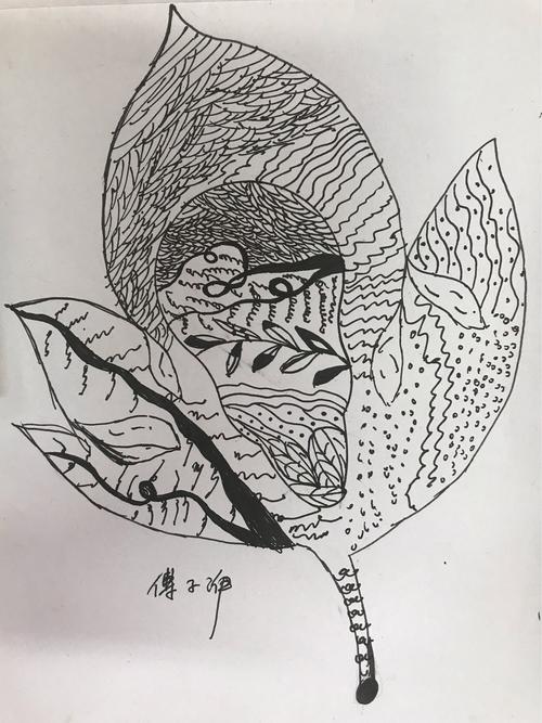 913.914叶子的变形纹样作业