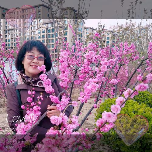 春来人未觉,迎春梅先知