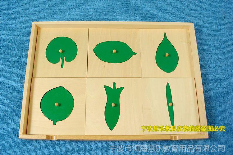树叶卡片柜 动植物嵌板柜 科学文化教具 蒙氏 正品 专业版教学版