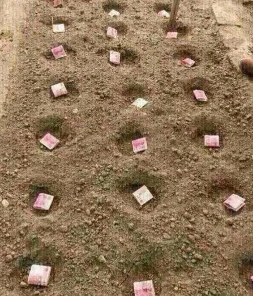 挖个坑,埋点土,数个一二三四五,自己的地,自己的土,种啥都长人民币