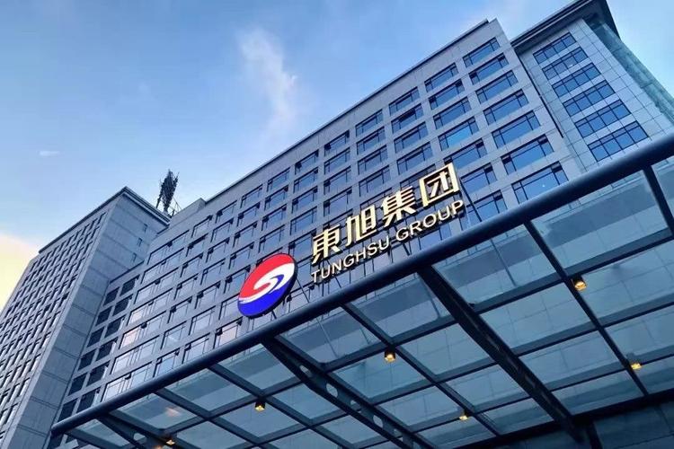 放大招东旭光电发行股份收购大股东743项专利无形资产怎么定价