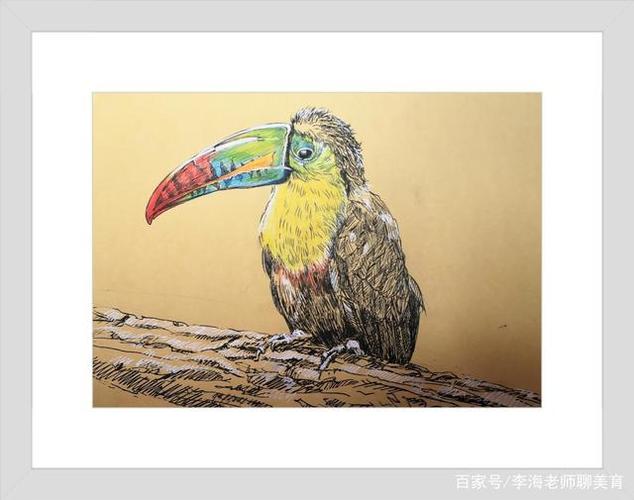 少儿美术线描写生《巨嘴鸟》步骤教程,训练孩子观察力造型能力!