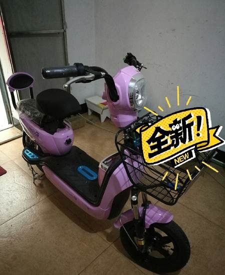 大陆鸽电动车 全新100%